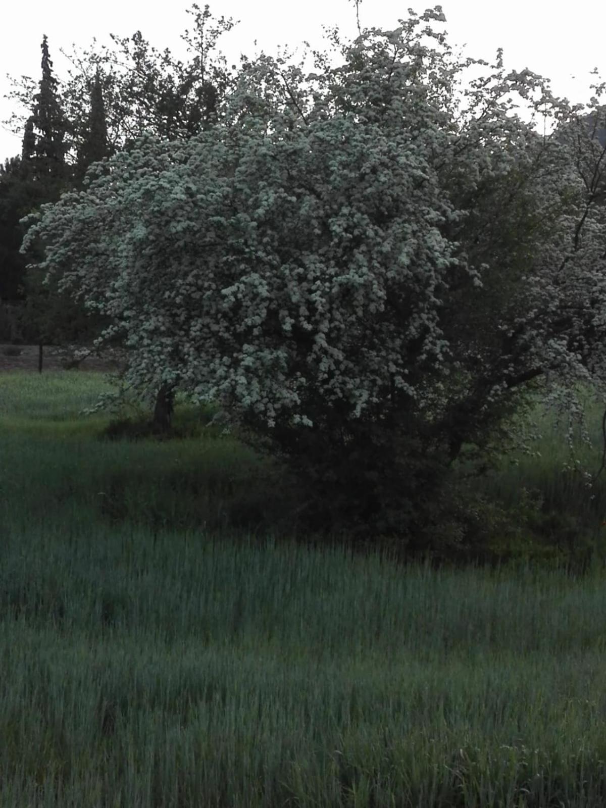 Casa Eva Διαμέρισμα Arroyo Frio Εξωτερικό φωτογραφία
