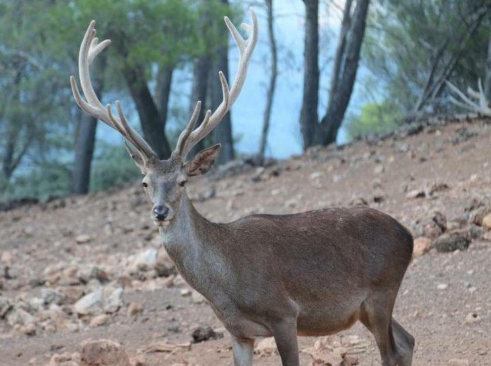Casa Eva Διαμέρισμα Arroyo Frio Εξωτερικό φωτογραφία